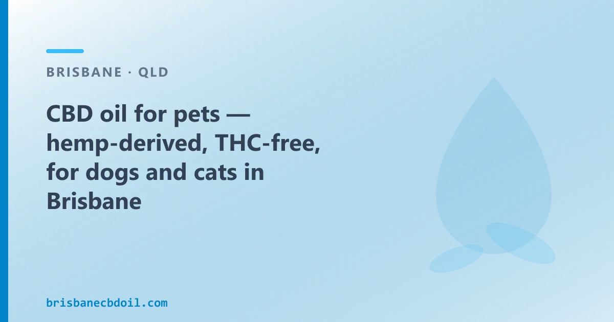 CBD oil for pets: what it is and where to buy it in Brisbane